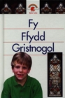 Image for Fy Ffydd Gristnolgol