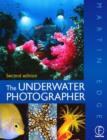 Image for Underwater Photographer