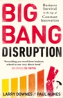 Image for Big bang disruption  : business survival in the age of constant innovation