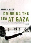 Image for Drinking the sea at Gaza  : days and nights in a land under siege