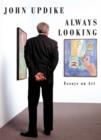 Image for Always looking  : essays on art