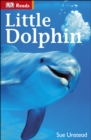 Image for Little Dolphin