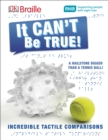 Image for It can&#39;t be true  : a hailstone bigger than a tennis ball!
