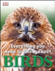 Image for Everything you need to know about birds