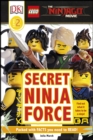 Image for Secret ninja force