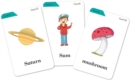 Image for Ladybird Readers Level 4 Flashcards