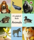 Image for A Ladybird Book: Animals