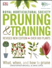 Image for Pruning &amp; training: what, when, and how to prune