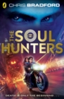 Image for The soul hunters