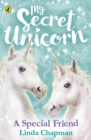 Image for My Secret Unicorn: A Special Friend