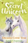 Image for My Secret Unicorn: Dreams Come True