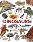 Image for The dinosaurs book.