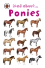 Image for Mad about ponies