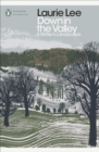 Image for Down in the valley  : a writer&#39;s landscape