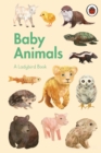 Image for A Ladybird Book: Baby Animals