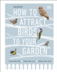 Image for How to attract birds to your garden