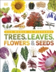 Image for Trees, leaves, flowers &amp; seeds: a visual encyclopedia of the plant kingdom