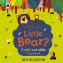 Image for Is that you, Little Bear?  : a pull-and-slide flap book