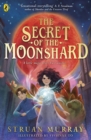 Image for The secret of the moonshard