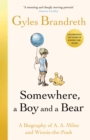 Image for Somewhere, a Boy and a Bear