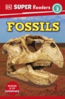 Image for DK Super Readers Level 3 Fossils