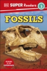 Image for Fossils.