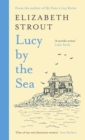 Image for Lucy by the sea  : a novel