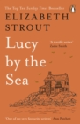 Image for Lucy by the sea  : a novel