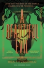 A Beautiful Evil by Fitzgerald, Bea cover image