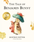 Image for The Tale of Benjamin Bunny Picture Book