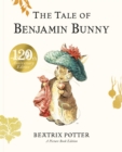 Image for The Tale of Benjamin Bunny Picture Book