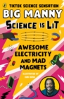 Image for Awesome Electricity and Mad Magnets