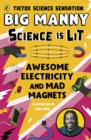 Image for Awesome electricity and mad magnets