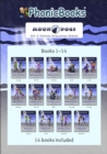 Image for Phonic Books Moon Dogs Set 3 Vowel Spellings : Decodable Phonic Books for Catch Up (Two Spellings for a Vowel Sound): Decodable Phonic Books for Catch Up (Two Spellings for a Vowel Sound)