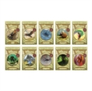 Image for Phonic Books Talisman Card Games, Boxes 1-10