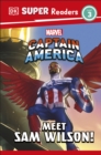 Image for Meet Sam Wilson!