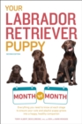 Image for Your Labrador Retriever Puppy Month by Month, 2nd Edition: Everything You Need to Know at Each Stage of Development