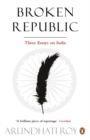 Image for Broken republic  : three essays