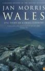 Image for Wales: Epic Views of a Small Country