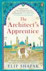 Image for The architect's apprentice