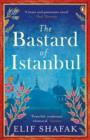 Image for The bastard of Istanbul