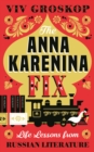 Image for The Anna Karenina fix: life lessons from Russian literature