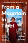 Image for From a mountain in Tibet  : a monk&#39;s journey