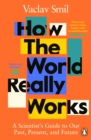Image for How the world really works  : a scientist&#39;s guide to our past, present, and future