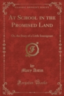 Image for At School in the Promised Land