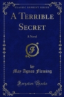 Image for Terrible Secret: A Novel