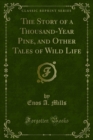 Image for Story of a Thousand-Year Pine, and Other Tales of Wild Life