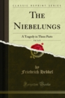 Image for Niebelungs: A Tragedy in Three Parts