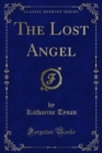 Image for Lost Angel
