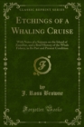 Image for Etchings of a Whaling Cruise: With Notes of a Sojourn on the Island of Zanzibar, and a Brief History of the Whale Fishery, in Its Past and Present Condition
